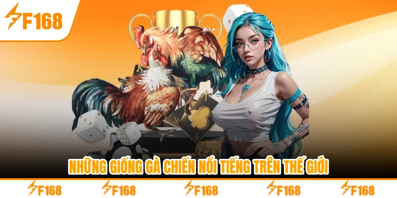 Những giống chiến kê nổi tiếng trên thế giới